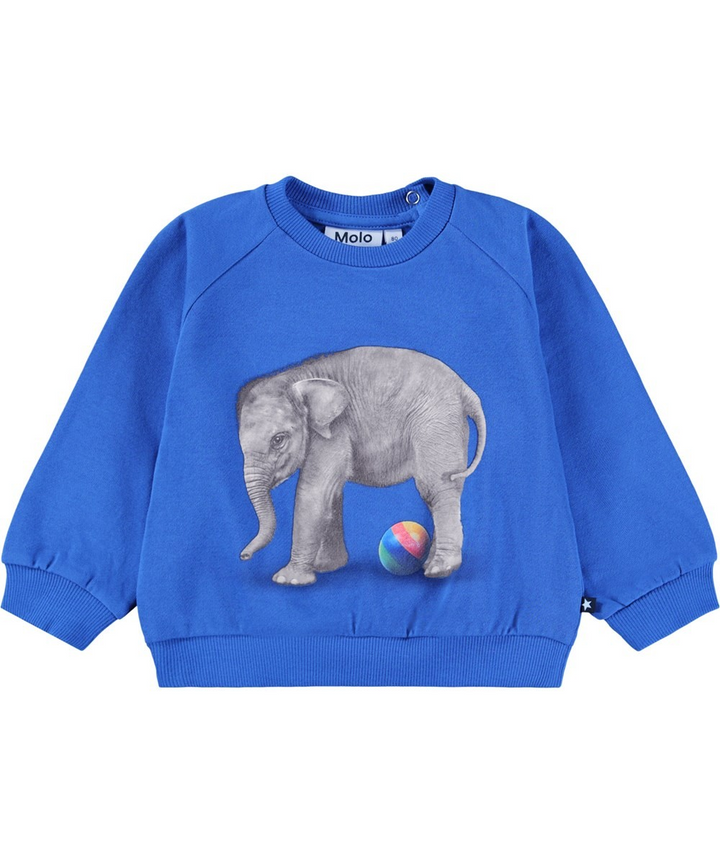 Disc Blue Elephant & Ball Sweatshirt