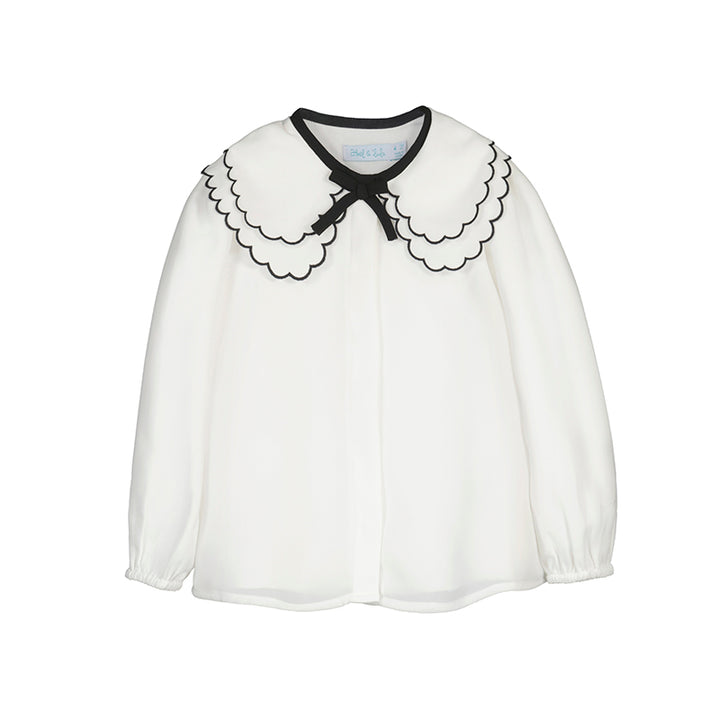 Chiffon Blouse with Embroidered Collar