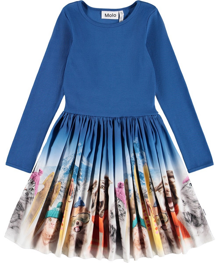 Casie Blue Ski Animal Dress