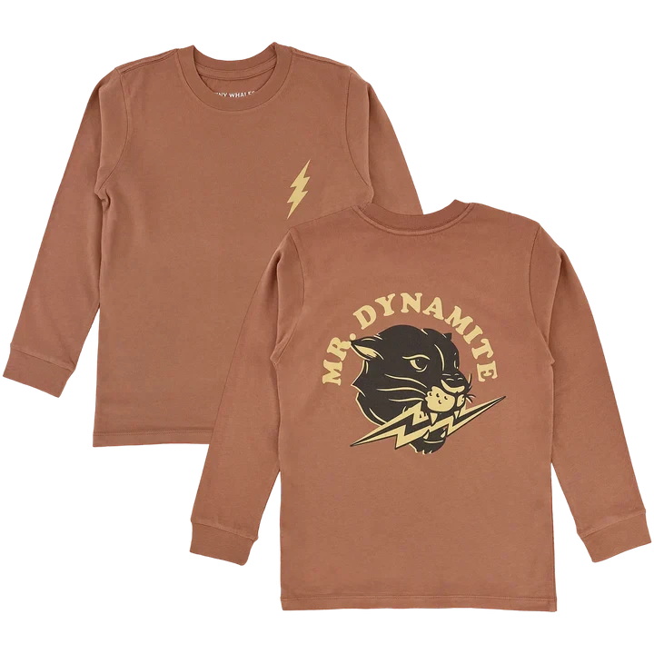 TIN Mr Dynamite Shirt in Brick