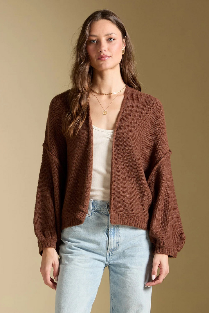 Aden Sweater Cardigan in Chocolate