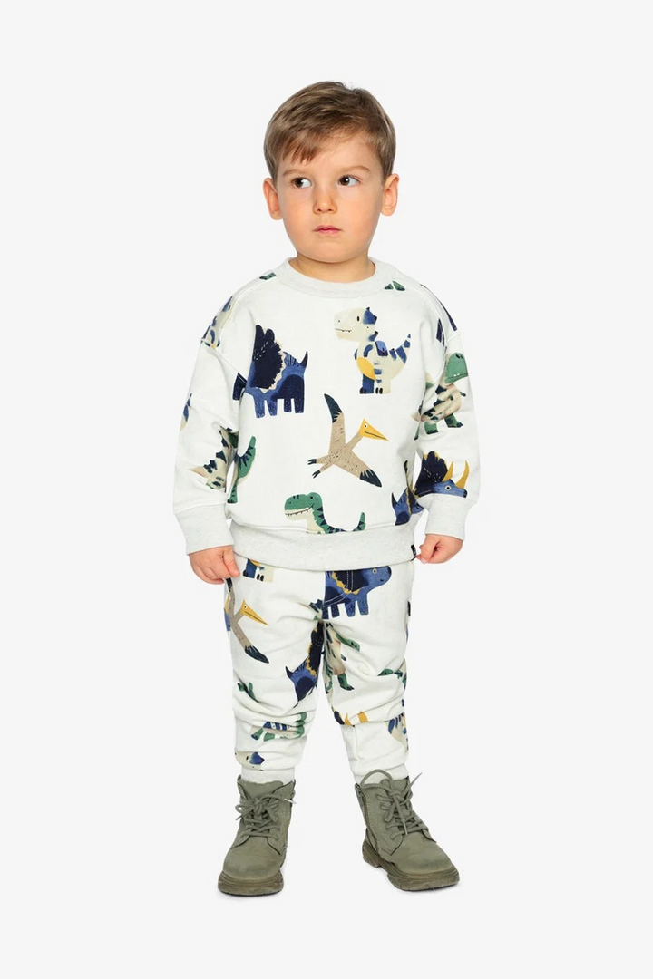 DPD Cute Dinosaur Sweat Set