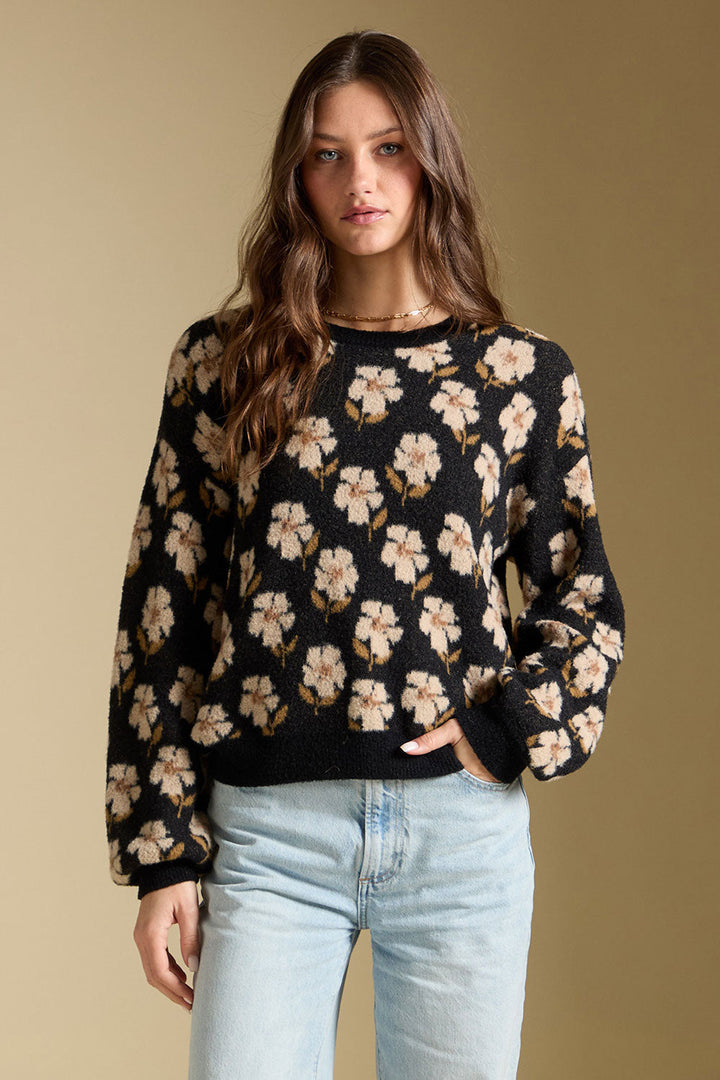 Saltwater Luxe Vincent Sweater in Black