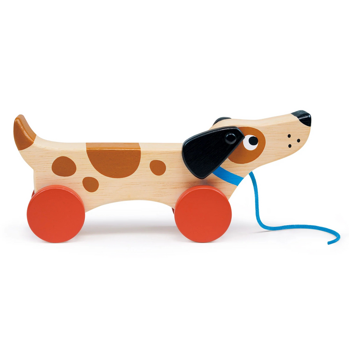 Wooden Pull Along Puppy Toy