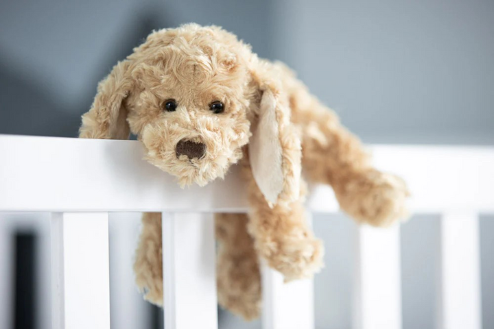 Bukowski Bear Buddy Dog Plush Toy