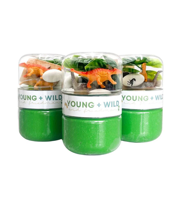 YWF Green Dinosaur Grab & Go Dough