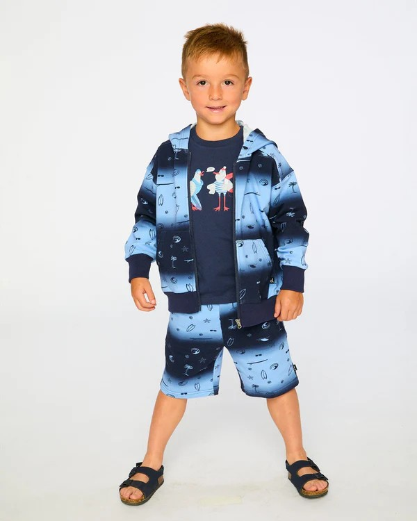 DPD French terry Beach Hoodie Blue Surf