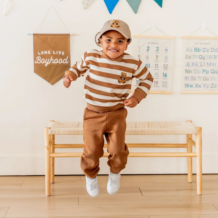 Teddy Bear Stripe Patch Set