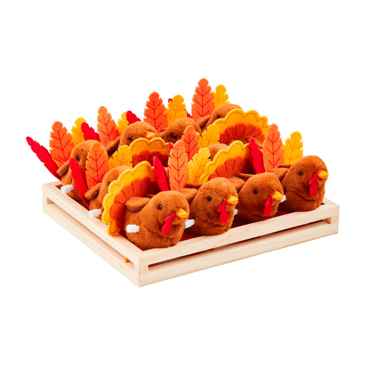 Wind Up Turkey Toy
