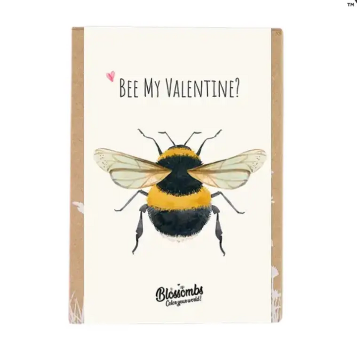 Bee Mine Valentine See Kit
