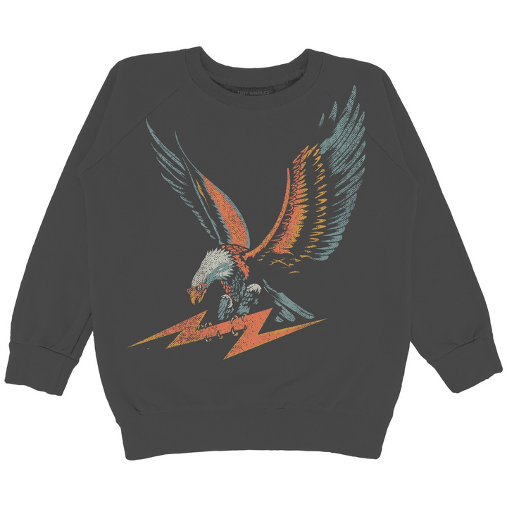 Totally Rad Eagle Boys Pullover