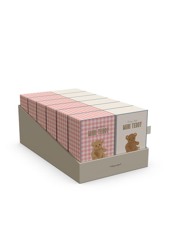 Tiny Teddy Bear Play Sets Pink or Blue