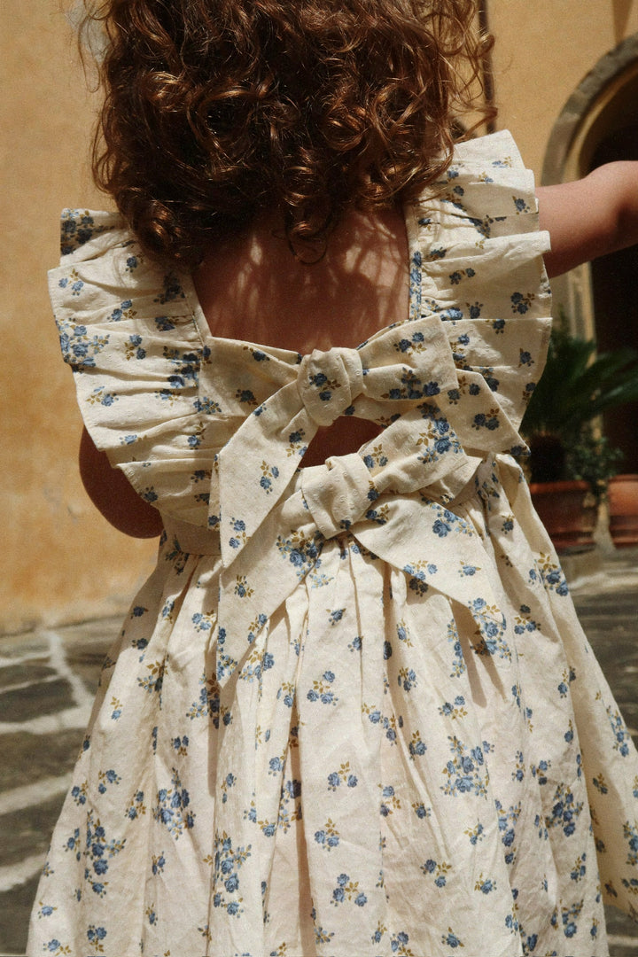 Cianna Floral Dress