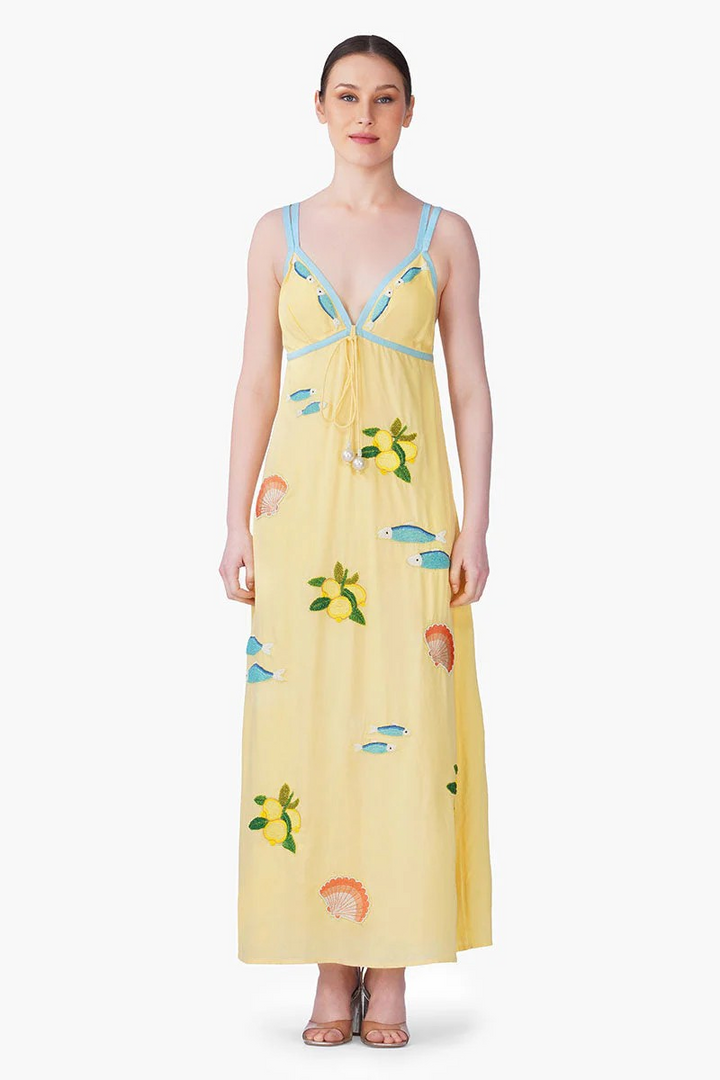 AMB Sardine Citrus Embroidered Maxi Dress